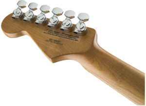 Pro-Mod DK24 HH 2PT CM QM (tête arrière)