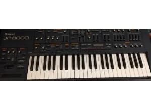 Roland JP-8000 (13929)