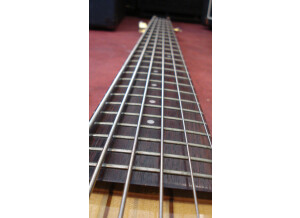 Hohner B Bass  VI (62521)