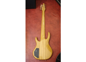 Hohner B Bass  VI (60166)
