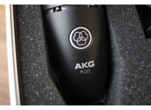 AKG P220 (6997)
