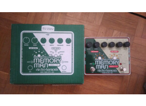Electro-Harmonix Deluxe Memory Man 550-TT (2246)