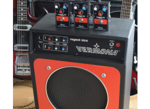 fredric-effects-regent-150-preamp-with-vermona-amp