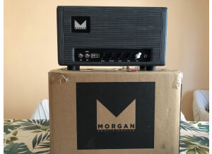 Morgan Amplification AC20