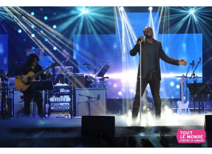 Custom Audio Electronics 3 + SE (81615)