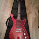 FRM100 Paul Gilbert Signature FRM100 Paul Gilbert Signature