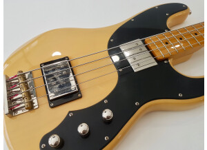 Fender Modern Player Telecaster Bass (4856)