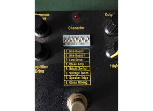 Tech 21 SansAmp GT2 (17622)