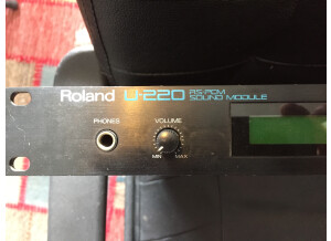 Roland U-220 (83071)