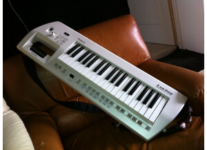 Roland Lucina AX-09 Synthesizer