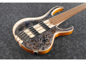 BTbfretless1