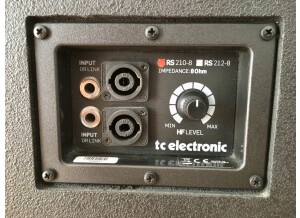 TC Electronic  RS210 (74803)