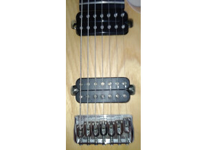 Chapman Guitars ML-7 T (10717)