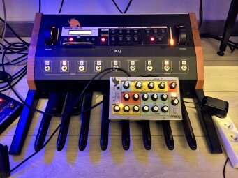 Sirin_2tof 13 chez Marc Sirin_2tof 13 chez Marc