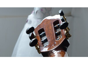 Crafter SAC-TMVS (52131)