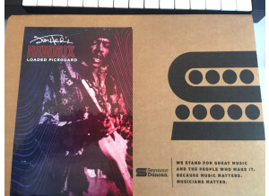 Seymour Duncan Jimi Hendrix Signature Loaded Pickguard Voodoo Style (85759)