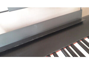 M-Audio Hammer 88 (45319)
