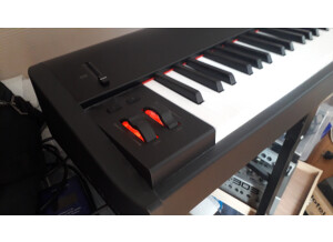 M-Audio Hammer 88 (73503)