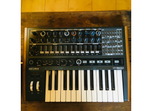 Arturia MiniBrute 2 (43667)