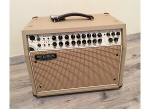 Mesa Boogie Rosette 300 / Two:Eight Acoustic Combo
