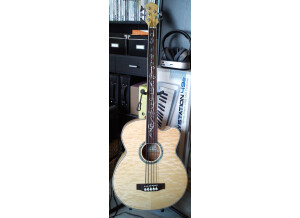 Michael Kelly Guitars Dragonfly 5c (51957)