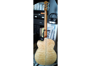 Michael Kelly Guitars Dragonfly 5c (55608)