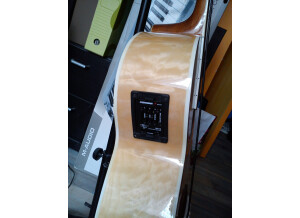 Michael Kelly Guitars Dragonfly 5c (96867)