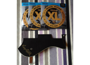 Hagstrom Viking (41336)