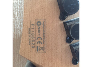 Ibanez JS1000 (69706)