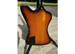 Gibson-Thunderbird-06