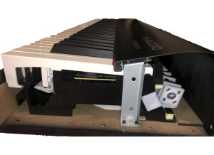 M-Audio Hammer 88 (50888)