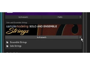 Sample Modeling String Ensemble & solo (75369)