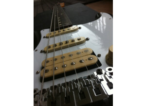 Fender Mexico Standard Series - Fat Strat Hss + Floyd Rose - Rw - Bk