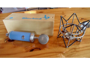 Blue Microphones Bluebird (9501)