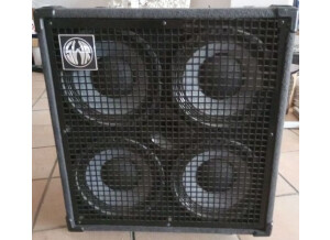 SWR Golight 4x10 (35966)