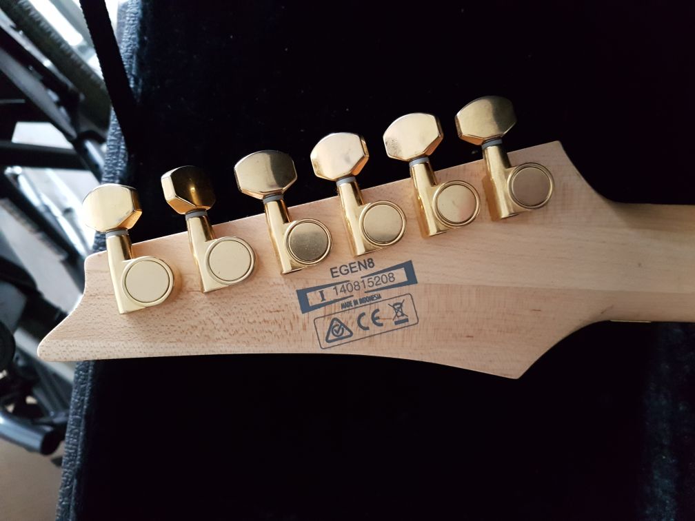 Ibanez Egen8 (54928)