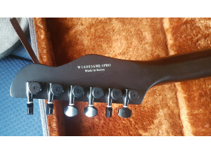 Chapman Guitars ML1 Pro NT Walnut (73305)