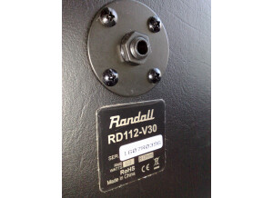 Randall RD112-D (68166)