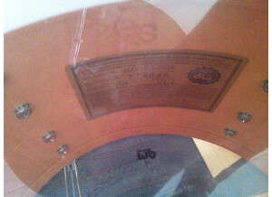 DW DW finish ply collector series