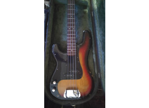 Fender Precision Bass (1977) (71551)