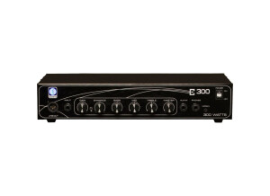 Eden Bass Amplification E300 (17566)