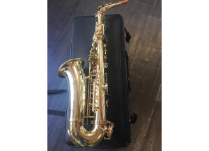 Saxophone alto Selmer Super Action Serie II (3)