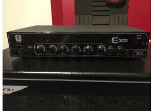 Eden Amplification E300
