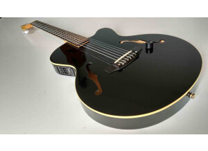 Yamaha AEX500 (61011)