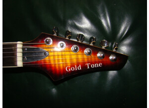 Gold Tone ES banjitar (72784)