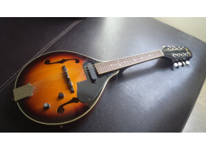 Fender FM-52E Mandolin (58813)