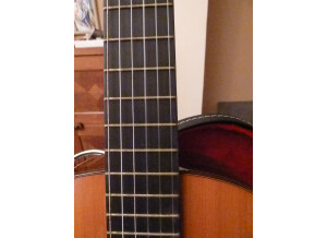 Alhambra Guitars 5 P E2