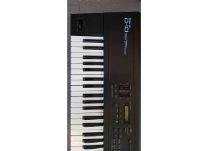 Roland D-10 (70287)