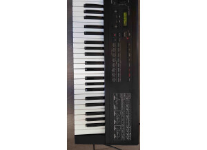 Roland D-10 (6552)