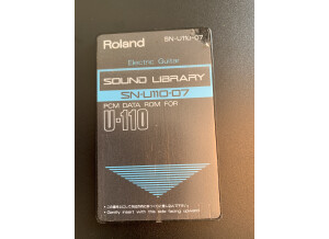 Roland SN-U110-07 : Electric Guitar